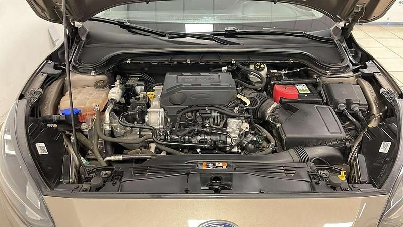 Usata Ford Focus Active 125 CV (91 kW) 2020 Bronzo Berlina