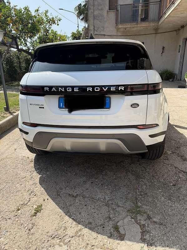 Usata Land Rover Range Rover evoque 150 CV (110 kW) 2019 Bianco SUV