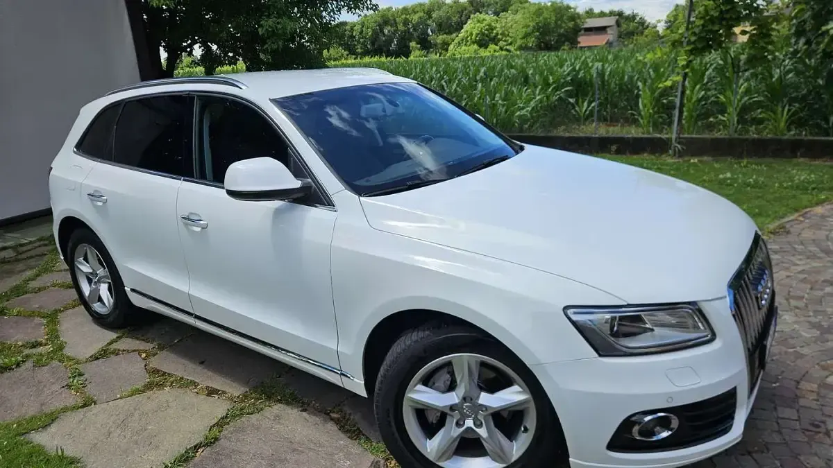 Usata Audi Q5 Advanced Plus 150 CV (110 kW) 2014 SUV