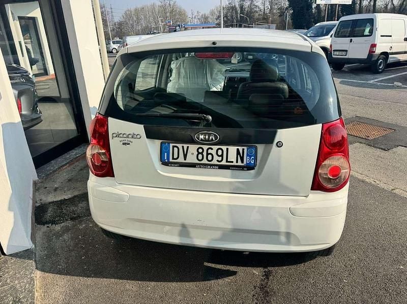 Usata Kia Picanto 60 CV (44 kW) 2009 Bianco Utilitaria