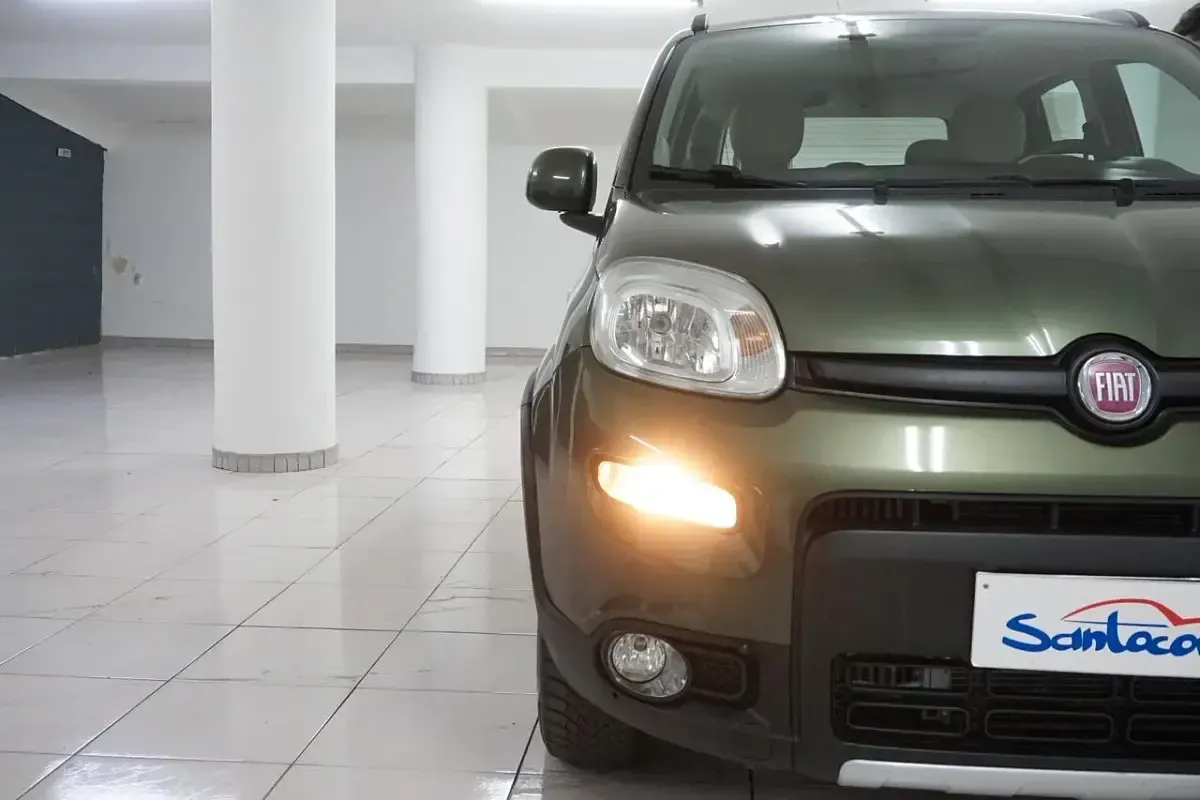 Usata Fiat Panda 4x4 S 75 CV (55 kW) 2014 Verde Utilitaria