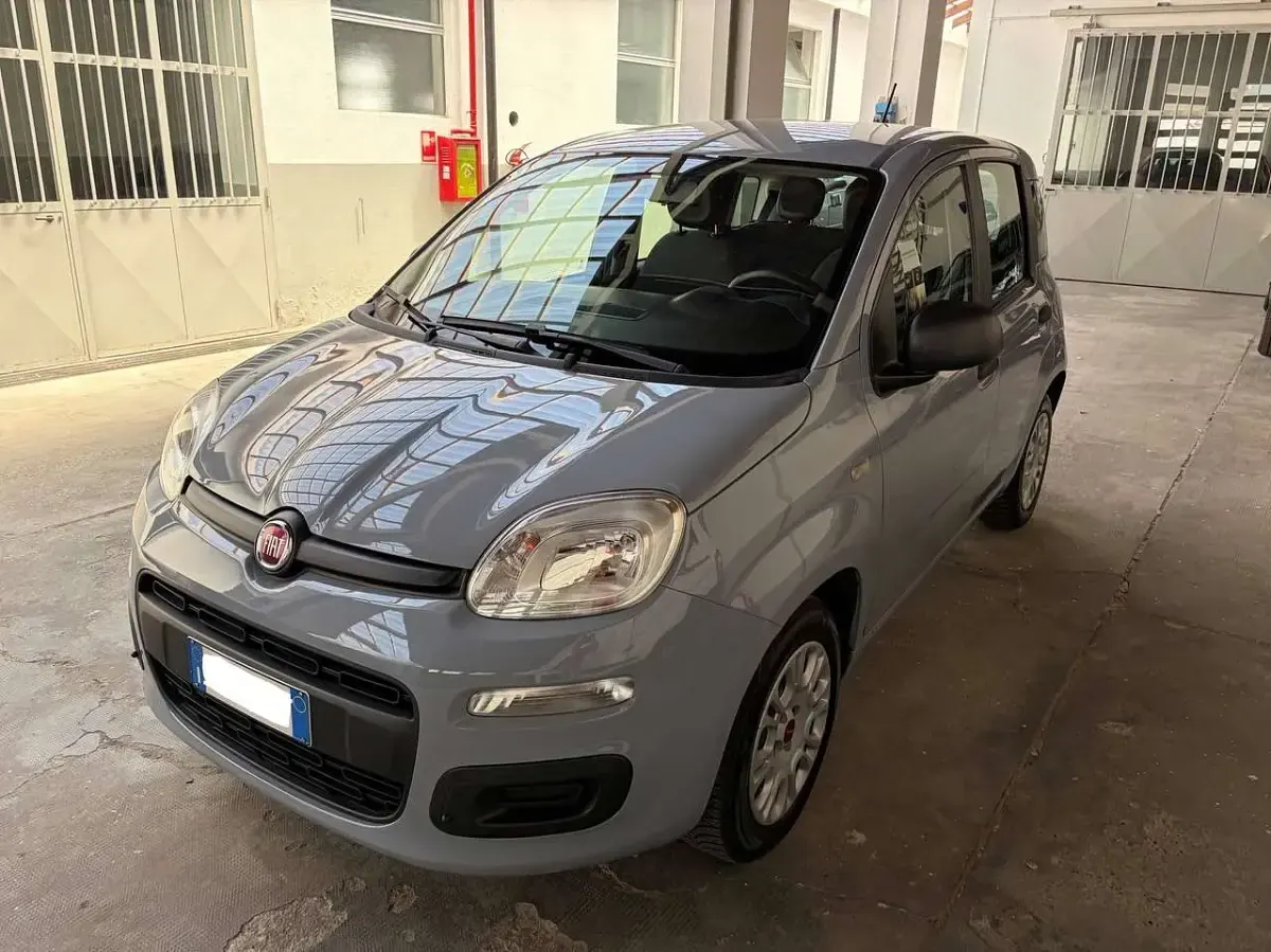 Usata Fiat Panda Easy 69 CV (50 kW) 2017 Grigio Utilitaria