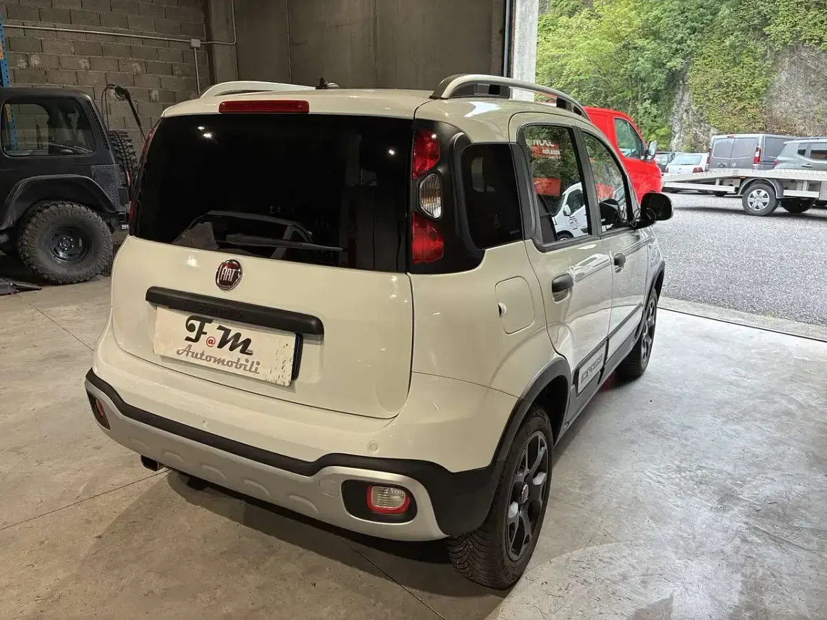 Usata Fiat Panda Cross Cross 86 CV (63 kW) 2019 Other Utilitaria