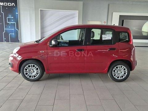Nuova Fiat Panda Pop 65 CV (47 kW) 2026 Rosso Utilitaria