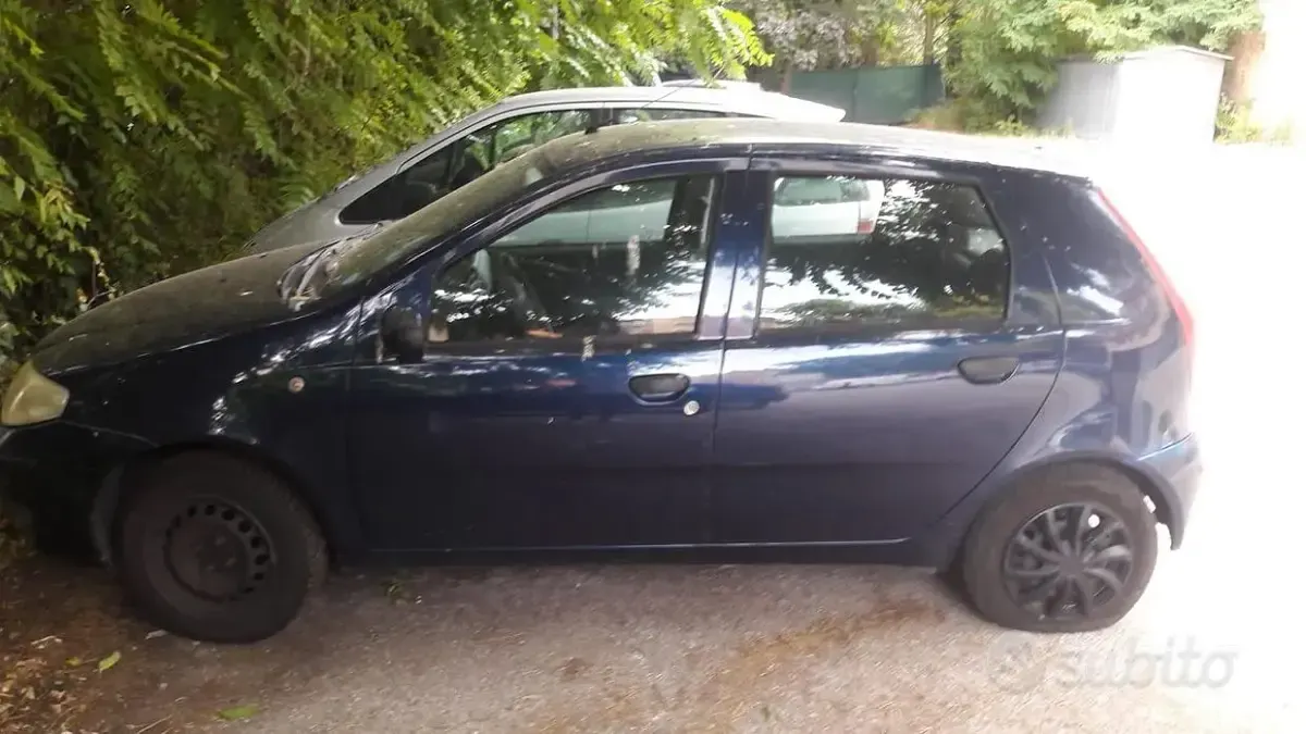 Usata Fiat Punto 60 CV (44 kW) 2010 Bluazzurro Utilitaria