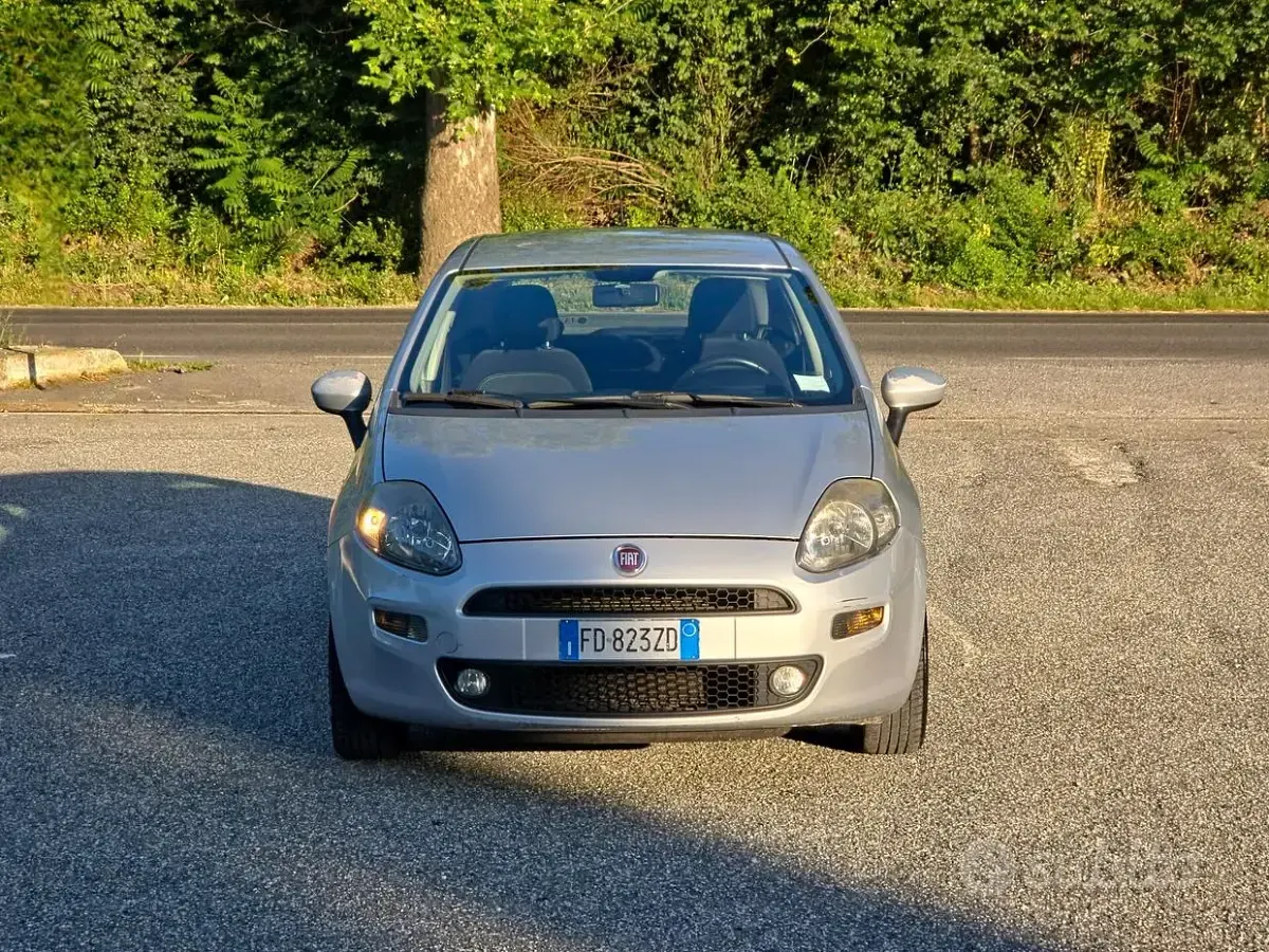 Usata Fiat Punto Lounge 77 CV (56 kW) 2016 Grigio Utilitaria
