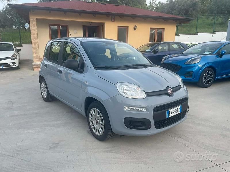 Usata Fiat Panda Easy 69 CV (50 kW) 2019 Grigio Utilitaria