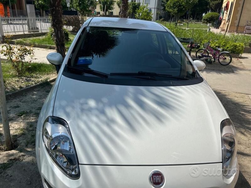 Usata Fiat Punto Evo 65 CV (47 kW) 2016 Bianco Utilitaria