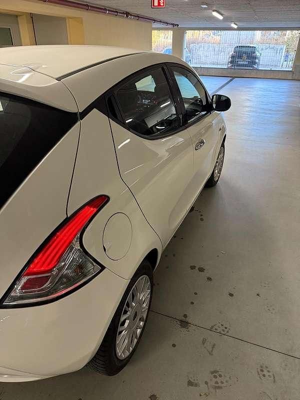 Usata Lancia Ypsilon Gold 69 CV (50 kW) 2017 Utilitaria