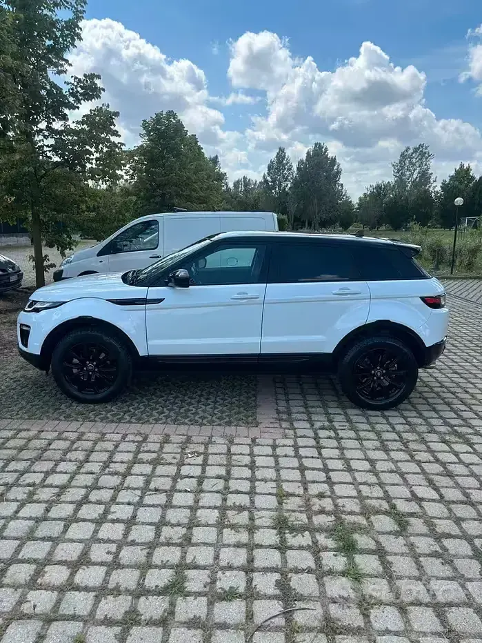 Usata Land Rover Range Rover evoque SE 150 CV (110 kW) 2016 Bianco SUV