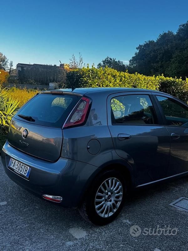 Usata Fiat Punto 75 CV (55 kW) 2015 Grigio Berlina