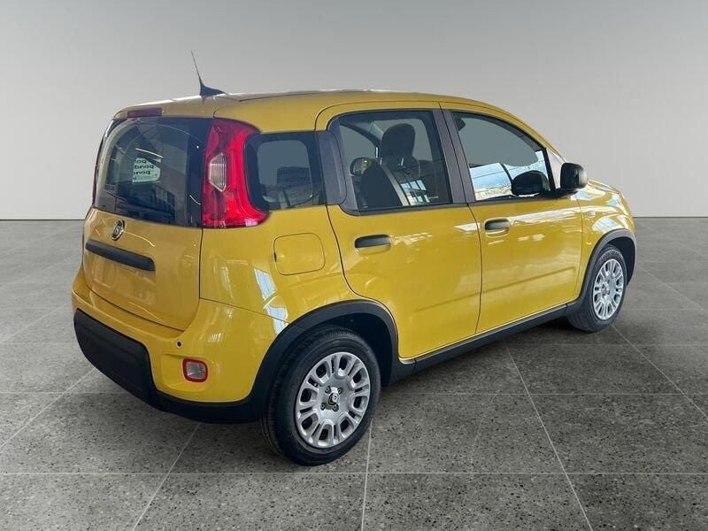 Usata Fiat Panda S 69 CV (50 kW) 2024 Giallo pastello Utilitaria