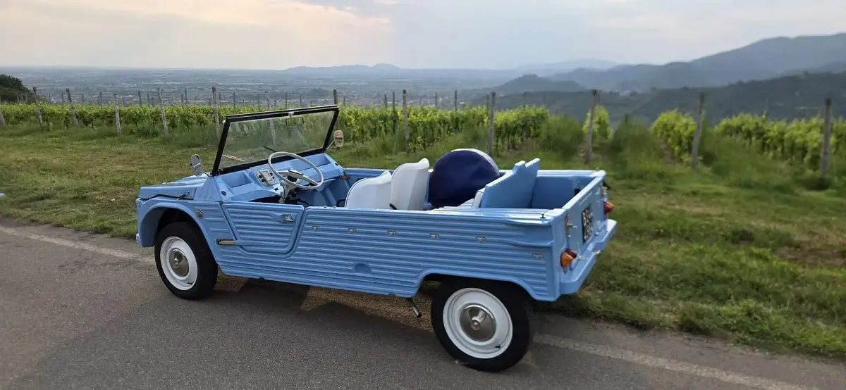 Usata Citroën Méhari 29 CV (21 kW) 1978 Cabrio
