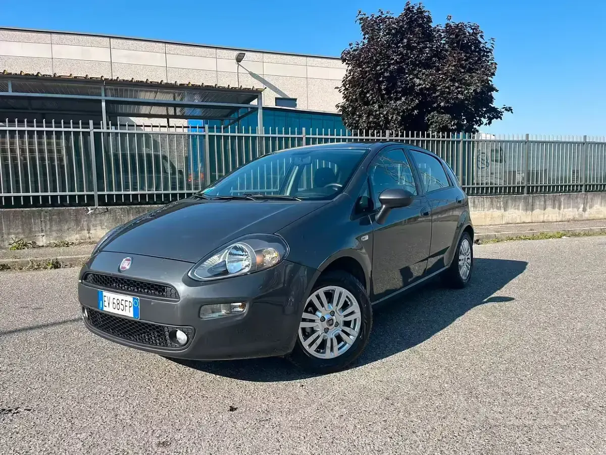 Usata Fiat Punto Lounge 69 CV (50 kW) 2014 Grigio Utilitaria
