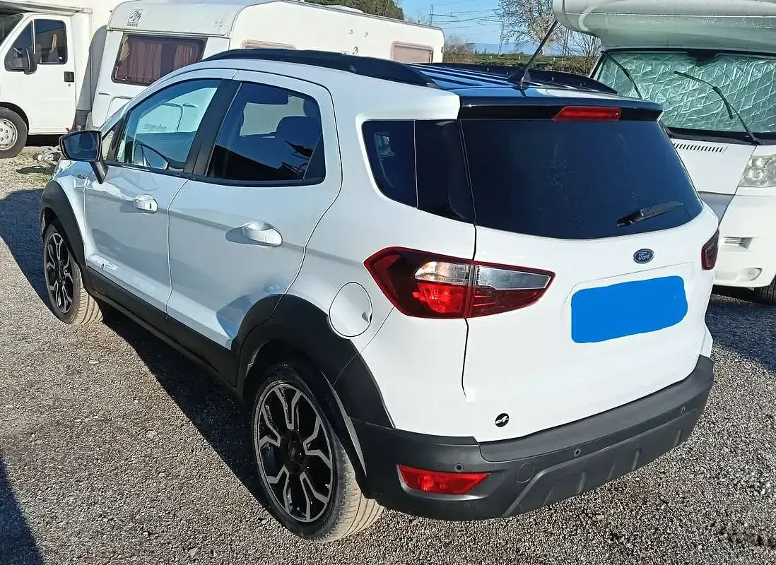 Usata Ford Ecosport Active 125 CV (91 kW) 2022 Bianco SUV