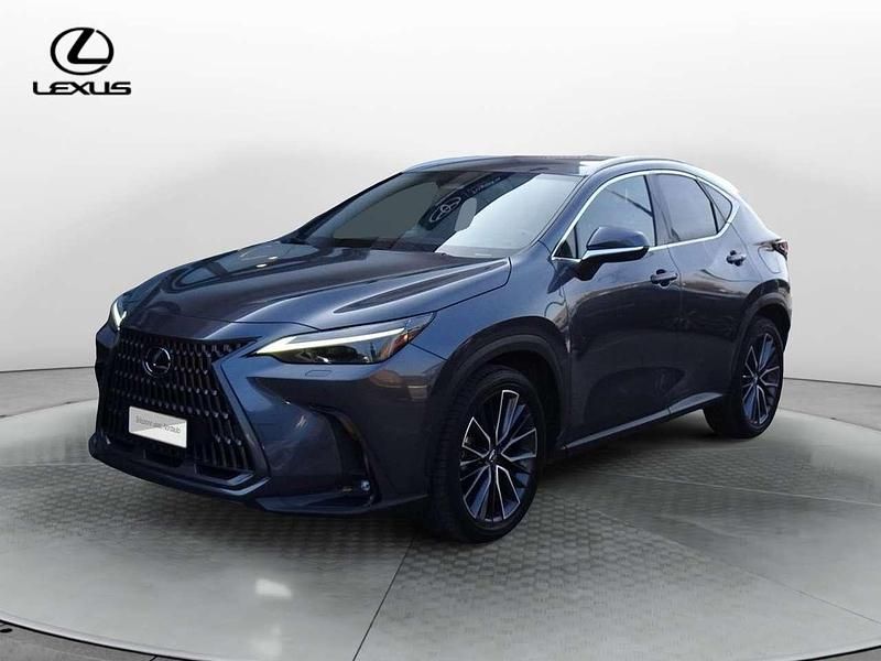 Usata Lexus NX300 Luxury Line 309 CV (227 kW) 2023 Grigio SUV
