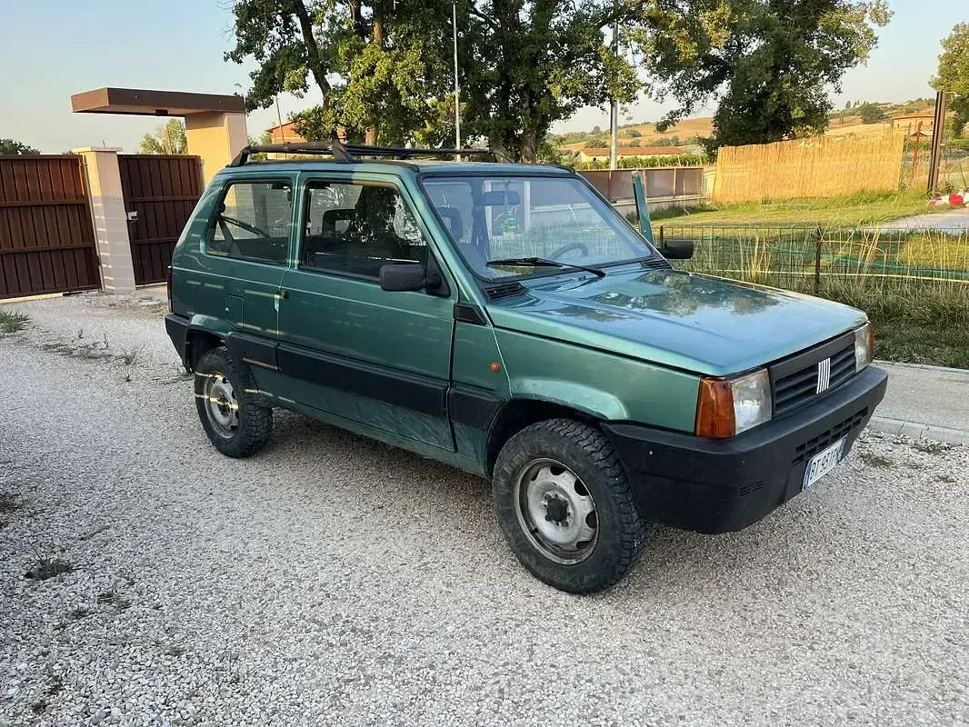 Usata Fiat Panda 4x4 Trekking 54 CV (39 kW) 2001 Utilitaria