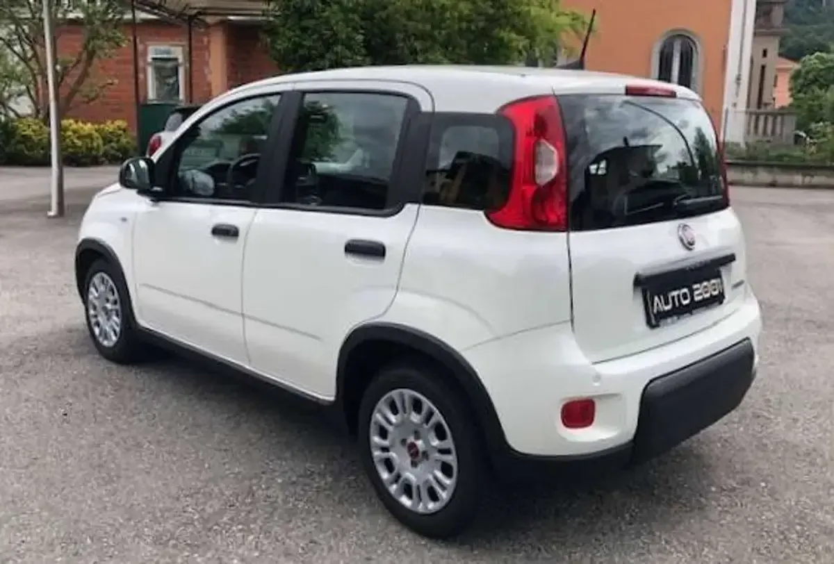 Usata Fiat Panda City Life 69 CV (50 kW) 2023 Bianco pastello Utilitaria