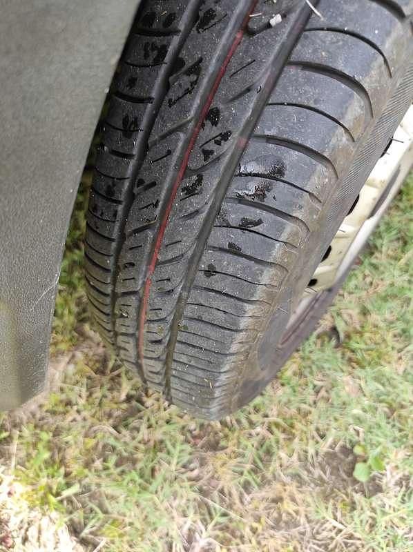 Usata Fiat Panda Young 39 CV (28 kW) 2000 Verde Berlina