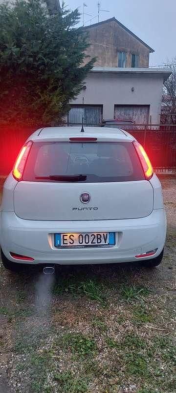 Usata Fiat Punto Evo Dynamic 95 CV (69 kW) 2013 Utilitaria