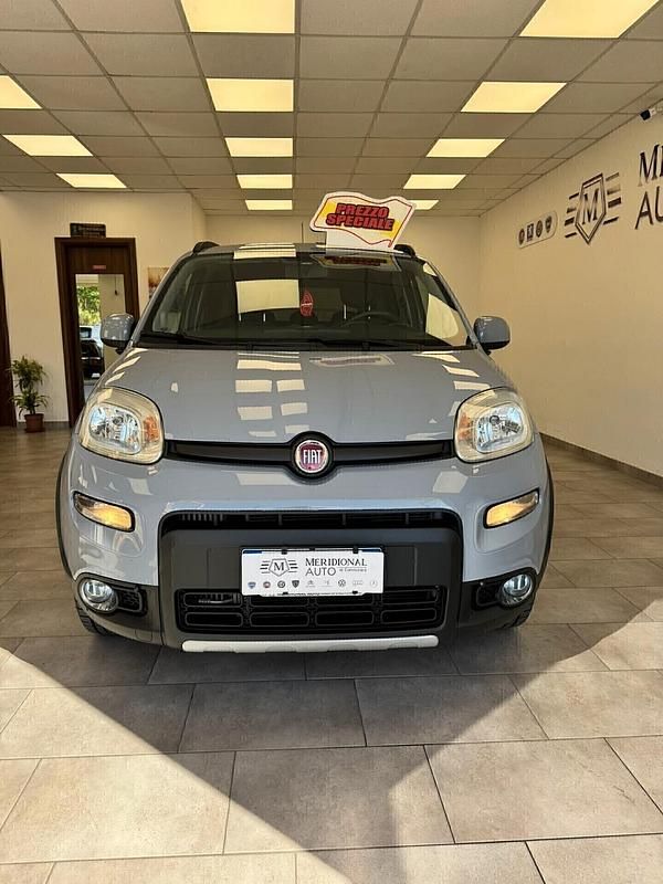 Usata Fiat Panda 4x4 S 95 CV (69 kW) 2018 Grigio Utilitaria