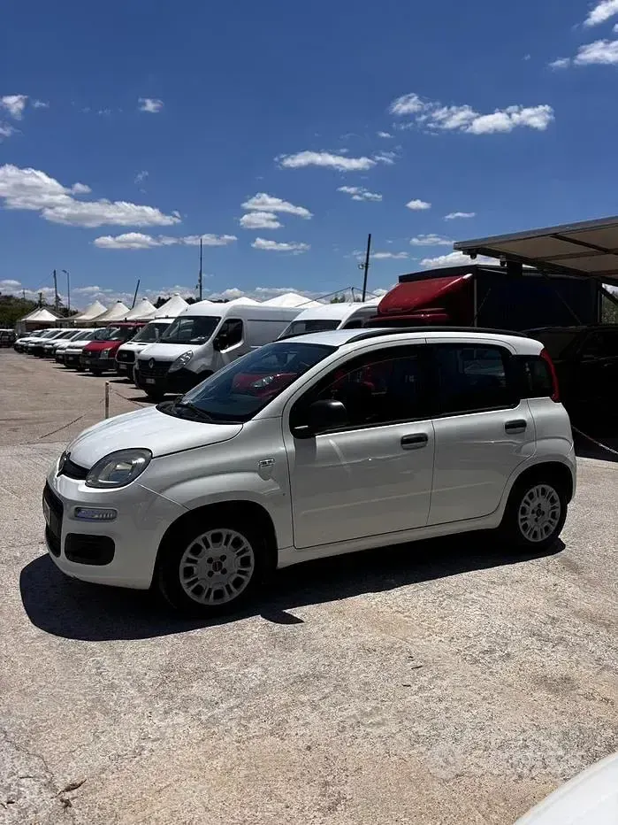 Usata Fiat Panda Lounge 75 CV (55 kW) 2013 Bianco Utilitaria