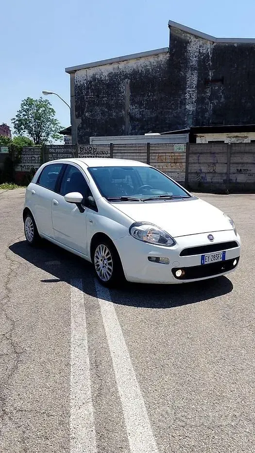 Usata Fiat Punto Evo 75 CV (55 kW) 2015 Bianco Utilitaria