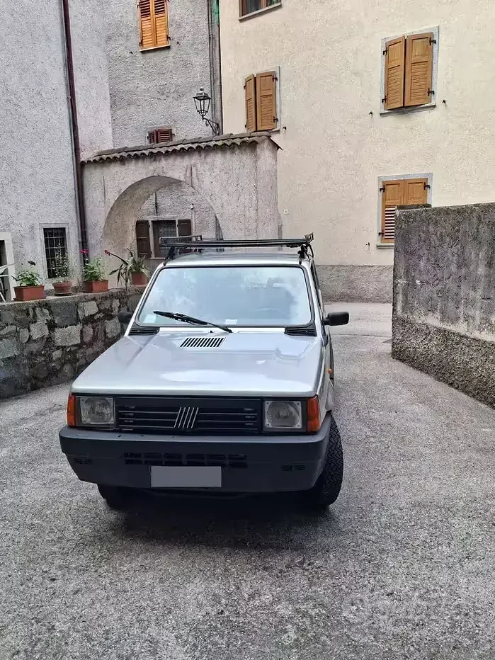 Usata Fiat Panda 4x4 54 CV (39 kW) 2002 Bluazzurro Utilitaria