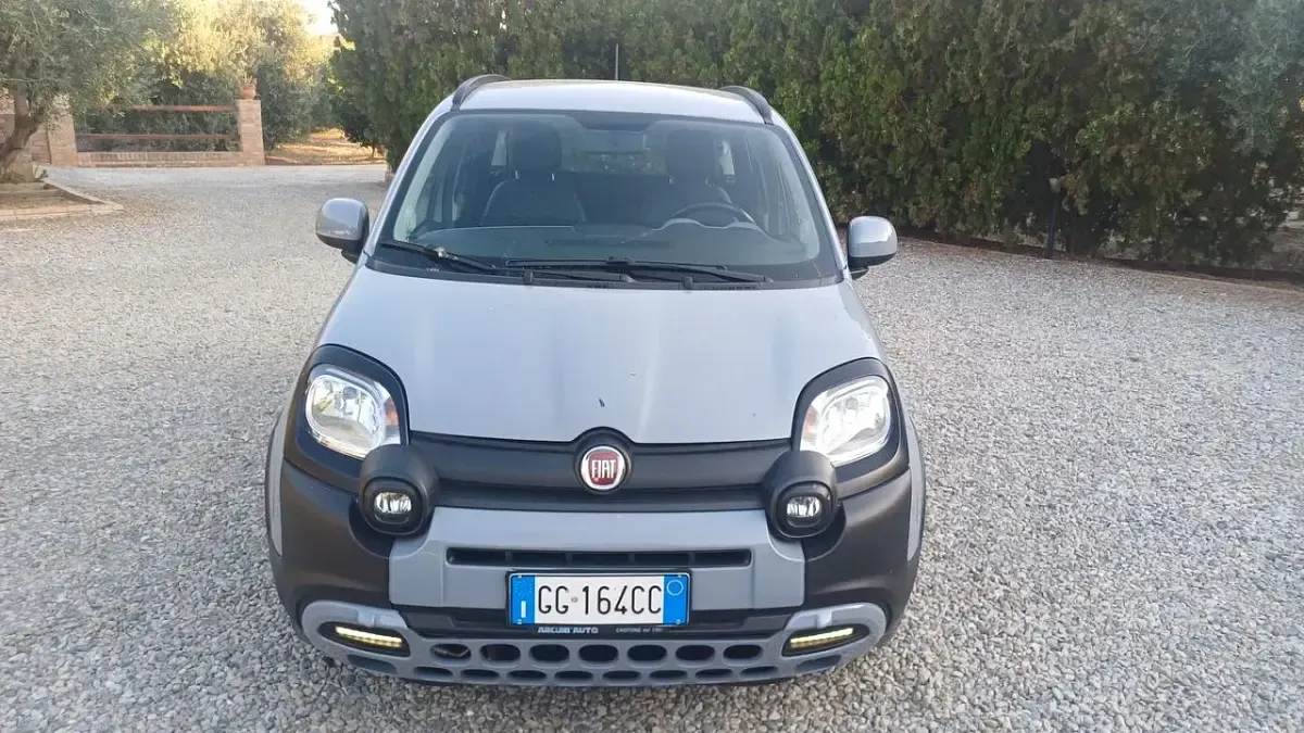 Usata Fiat Panda Cross Cross 69 CV (50 kW) 2021 Grigio Utilitaria