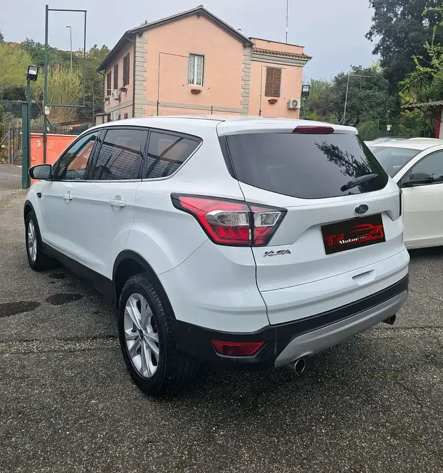 Usata Ford Kuga Sport 120 CV (88 kW) 2019 Bianco SUV