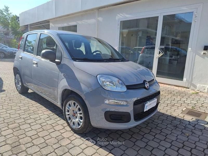 Usata Fiat Panda Easy 69 CV (50 kW) 2019 Grigio chiaro Utilitaria