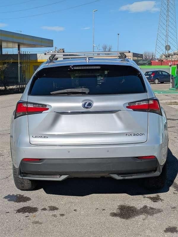 Usata Lexus NX300h Sport Line 197 CV (144 kW) 2017 Grigio SUV