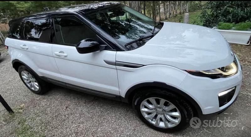Usata Land Rover Range Rover evoque 150 CV (110 kW) 2018 Bianco SUV