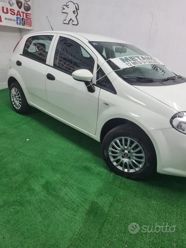 Usata Fiat Punto Lounge 77 CV (56 kW) 2016 Bianco Utilitaria