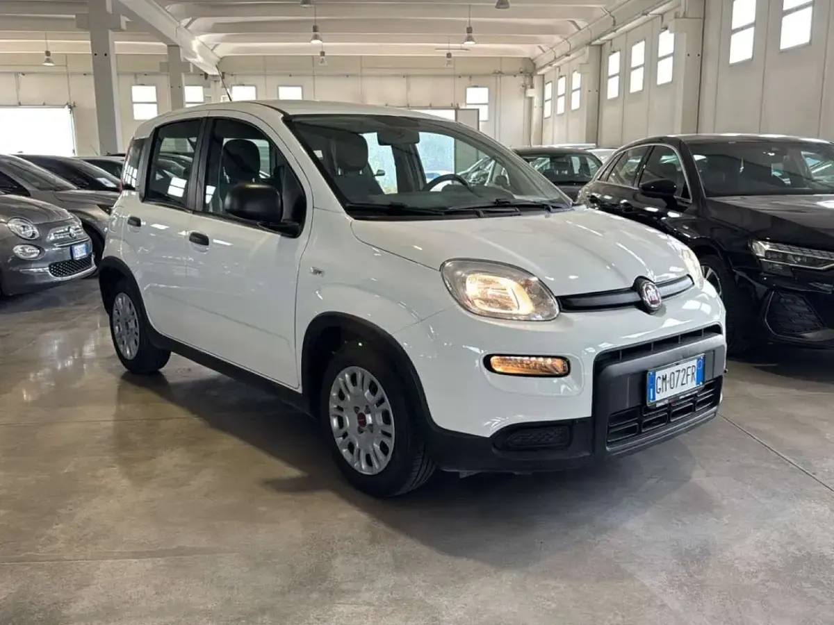 Usata Fiat Panda S 69 CV (50 kW) 2023 Bianco Utilitaria