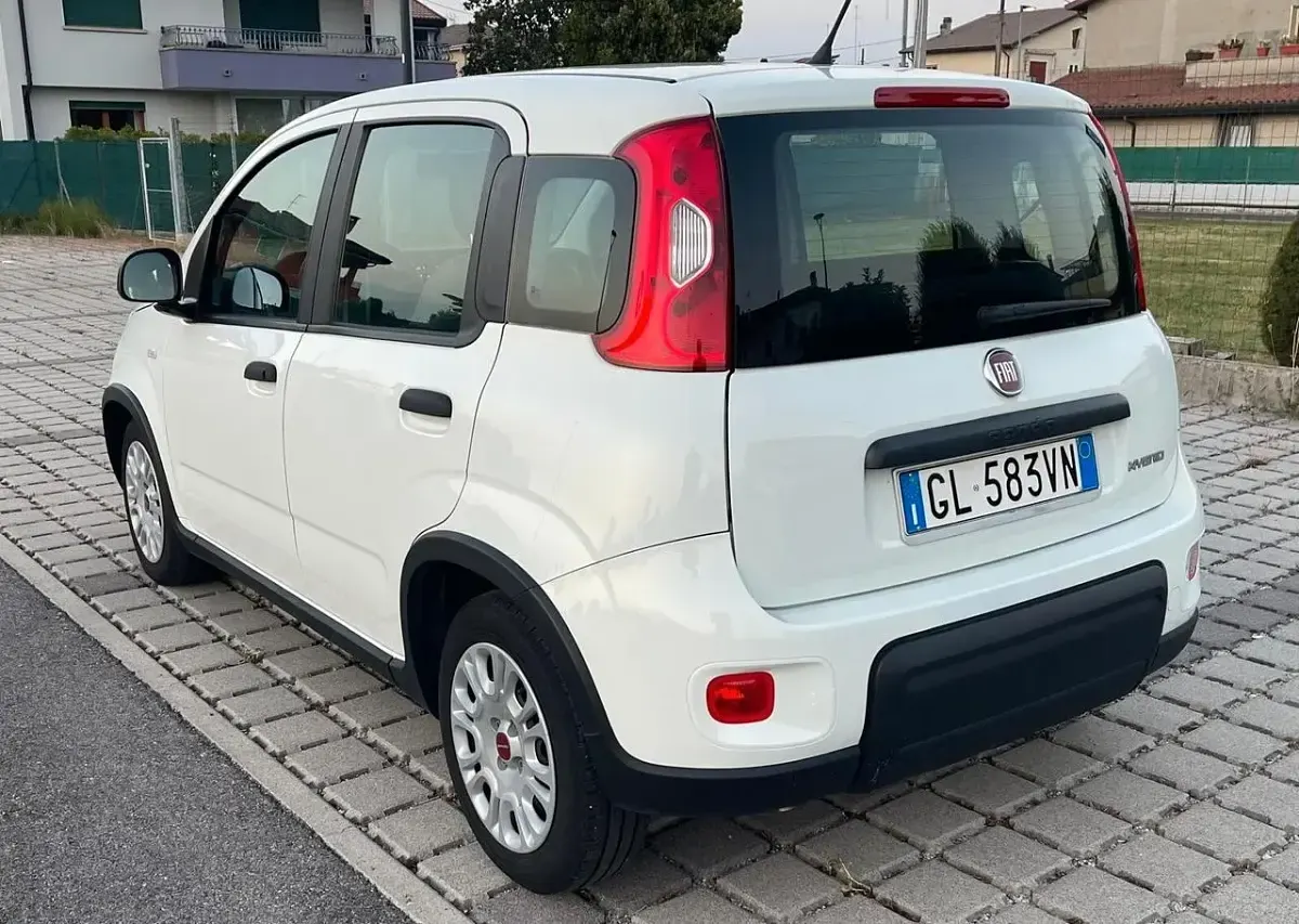 Usata Fiat Panda S 69 CV (50 kW) 2022 Bianco Utilitaria