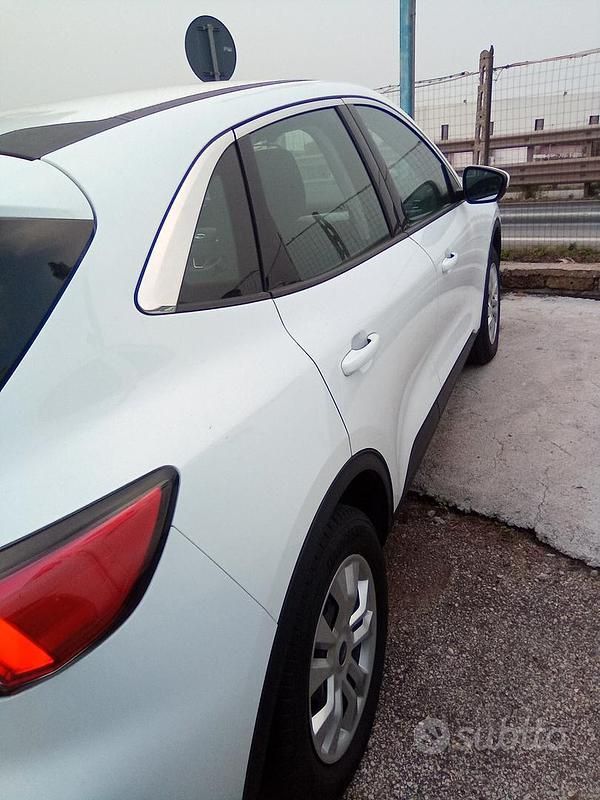 Usata Ford Kuga Titanium 120 CV (88 kW) 2020 Bianco SUV