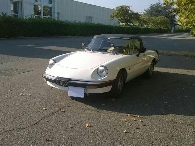 Sold Alfa Romeo Spider Duetto Used Cars For Sale