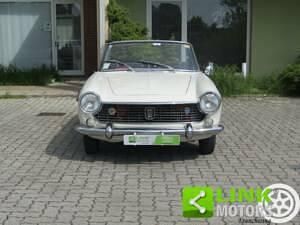 Usata Fiat 1500 67 CV (49 kW) 1963 Bianco Cabrio