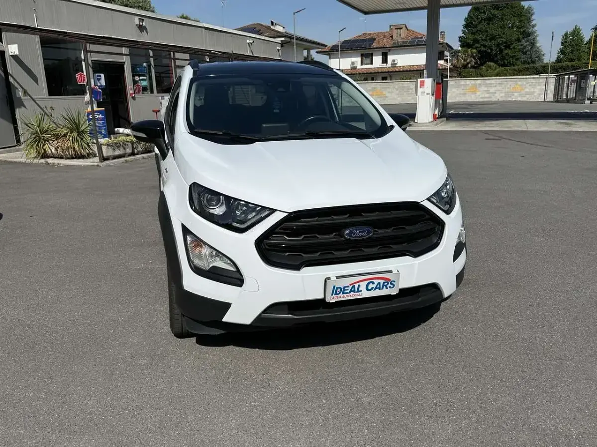 Usata Ford Ecosport Active 125 CV (91 kW) 2022 Other SUV