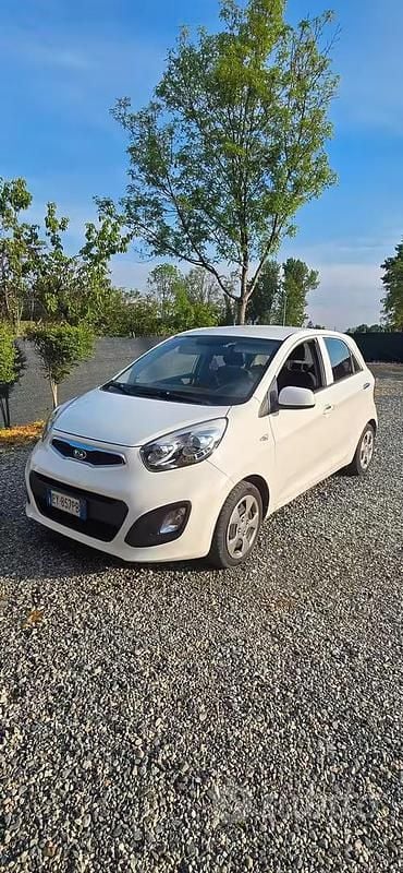 Usata Kia Picanto 67 CV (49 kW) 2015 Bianco Utilitaria