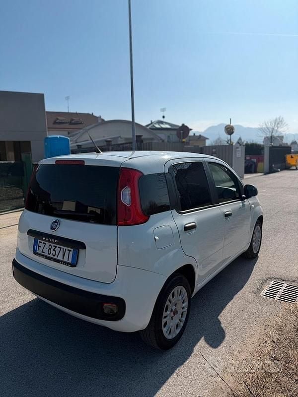Usata Fiat Panda Easy 69 CV (50 kW) 2020 Utilitaria