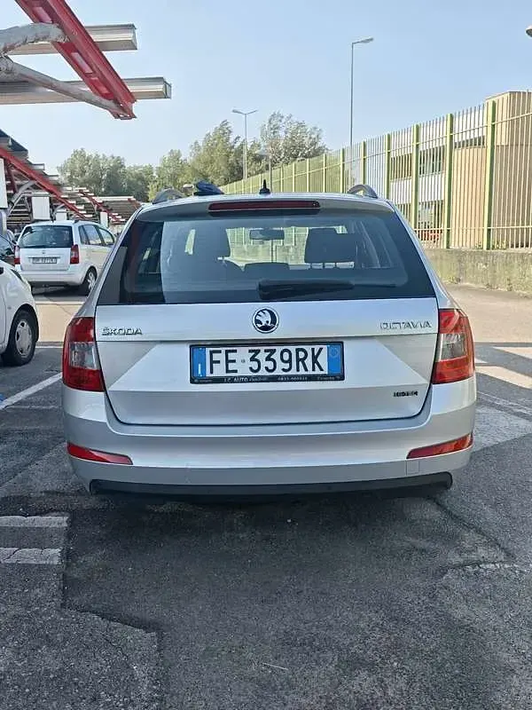 Usata Skoda Octavia G-TEC Executive 110 CV (80 kW) 2016 Grigio Station wagon