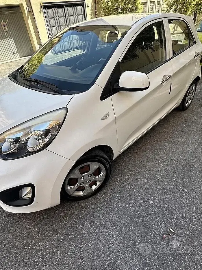 Usata Kia Picanto 66 CV (48 kW) 2015 Bianco Utilitaria