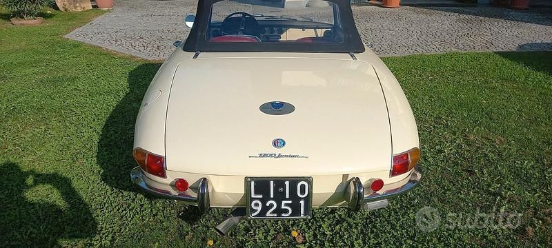 Usata Alfa Romeo Spider 1960 Cabrio
