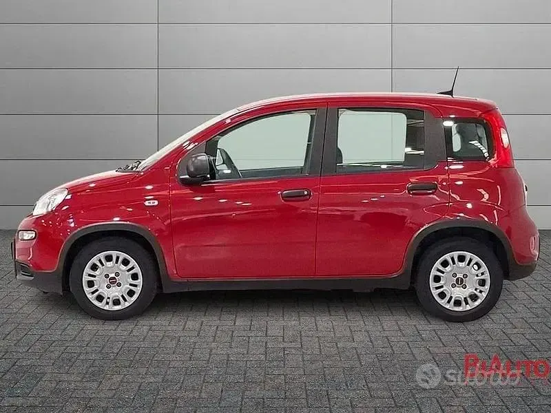 Usata Fiat Panda S 70 CV (51 kW) 2024 Rosso Utilitaria