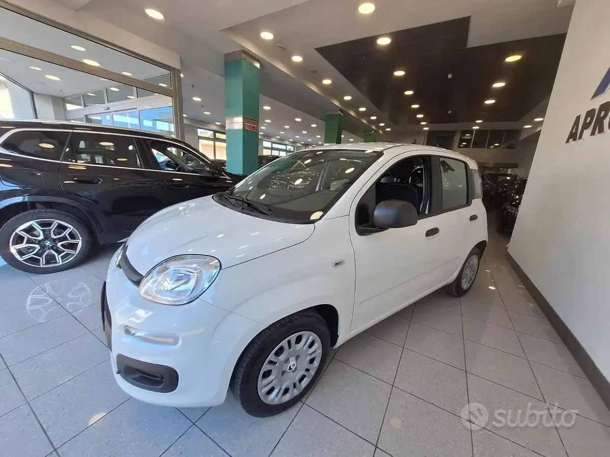 Usata Fiat Panda S 70 CV (51 kW) 2025 Bianco Utilitaria