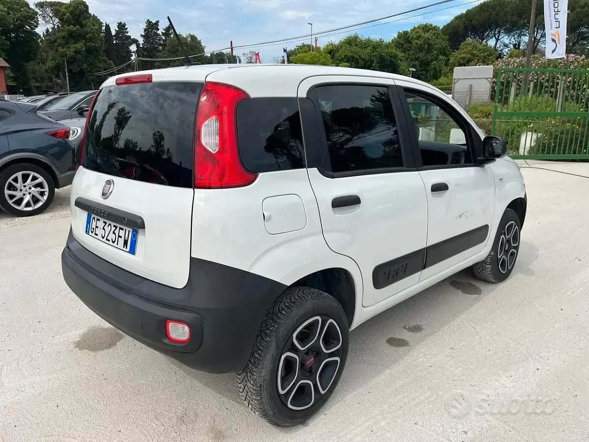Usata Fiat Panda 4x4 Pop 85 CV (62 kW) 2021 Bianco Utilitaria