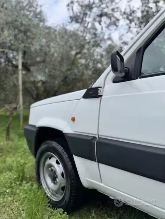 Usata Fiat Panda 4x4 Trekking 54 CV (39 kW) 1999 Bianco Utilitaria