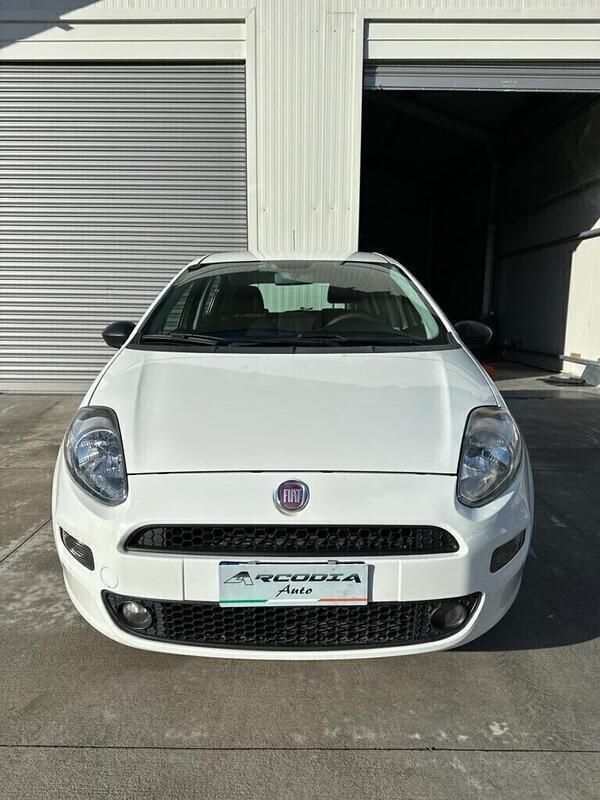 Usata Fiat Punto 75 CV (55 kW) 2014 Bianco Utilitaria